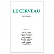 CERVEAU 1