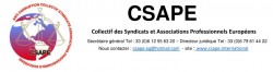 CSAPE logo.JPG