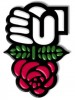 parti-socialiste-rose-logo renversé 1
