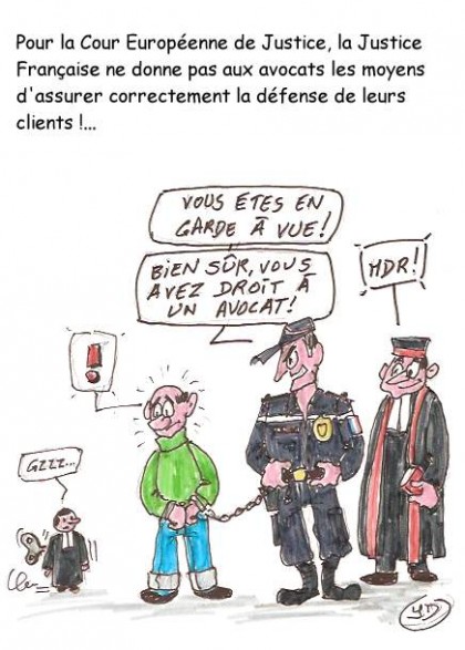 5573-avocat.jpg