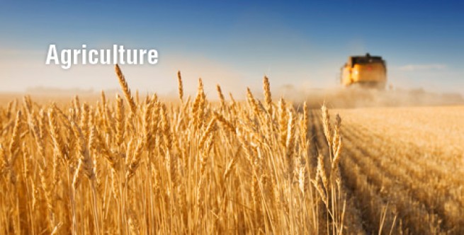 105735-agriculture.jpg