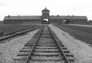 113105-auschwitz-birkenau1.jpg