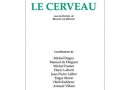 12973-cerveau-1.jpg