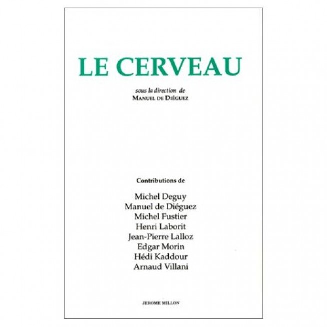 12973-cerveau-1.jpg