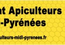 176360-apiculteur-midipyrenees.jpg