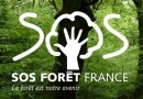 182265-sos-foret-1.jpg