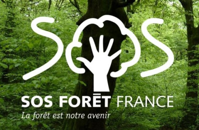 182265-sos-foret-1.jpg