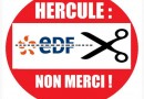 182668-hercule-cc.jpg