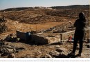 184267-palestine-1.png