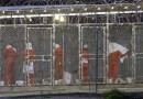 184282-guantanamo-1.png