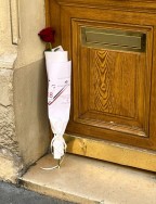 Rose 18 juin A