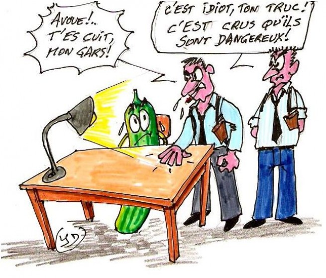 28084-concombres-dessin-1.jpg