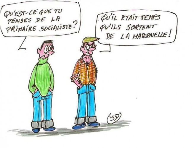 29474-primaire-socialiste-1.jpg
