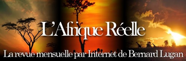 30783-afrique-reelle-2.jpg