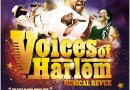 62239-affiche-voice-of-harlem.jpg