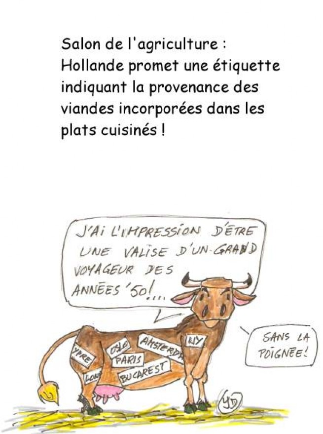 67078-valise-vache-1.jpg