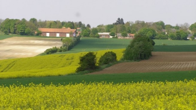95844-paysage2.jpg