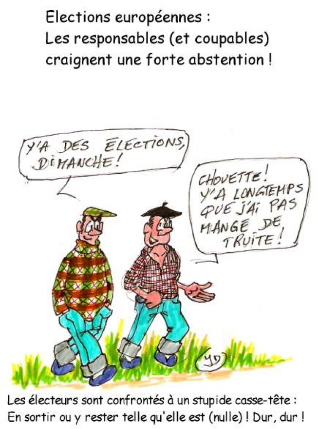 97752-europeenne-2014-dessin-1.jpg